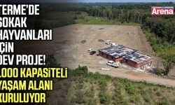 Terme’de sokak hayvanları için dev proje!