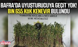 Bafra'da uyuşturucuya geçit yok!
