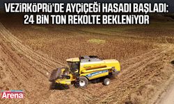 Vezirköprü’de ayçiçeği hasadı başladı