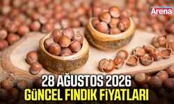 28 Ağustos 2026 güncel fındık fiyatları