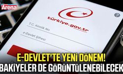 e-Devlet'te yeni dönem! Bakiyeler de görüntülenebilecek