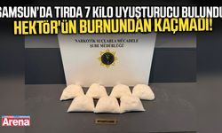 Hektör'ün burnundan kaçmadı! Tırda 7 kilo uyuşturucu bulundu