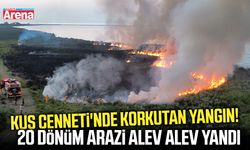 Kızılırmak Deltası'nda korkutan sazlık yangını!