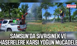 Samsun'da sivrisinek ve haşerelere karşı yoğun mücadele