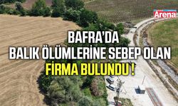 Bafra'da balık ölümlerine sebep olan firma bulundu