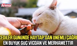 Kediler gününde HAYTAP’dan önemli çağrı!