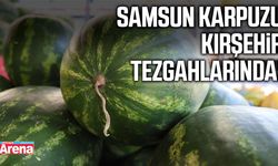 Samsun karpuzu Kırşehir tezgahlarında!