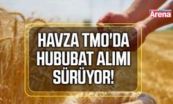 Havza TMO'da hububat alımları sürüyor