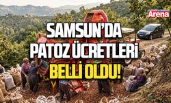 Samsun’da patoz ücretleri belli oldu