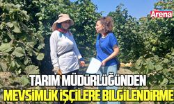19 Mayıs'ta fındık işçilerine önemli uyarılar