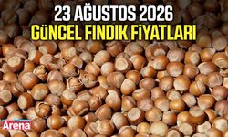 23 Ağustos 2026 güncel fındık fiyatları
