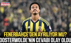 Oosterwolde Fenerbahçe’den ayrılıyor mu?