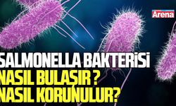 Salmonella bakterisi nedir, nasıl bulaşır ve nasıl korunulur?