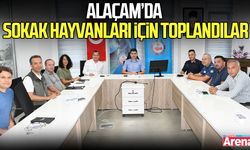 Samsun’un Alaçam İlçesinde sokak hayvanları için toplandılar
