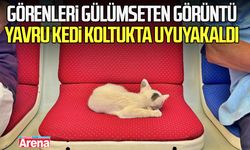 Samsun'da görenleri gülümseten görüntü, yavru kedi koltukta uyuyakaldı