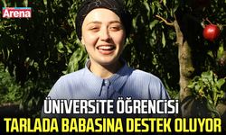 Samsun'da üniversite öğrencisi tarlada babasına destek oluyor