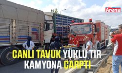 Canlı tavuk yüklü tır havza viyadüğü'nde kamyona çarptı