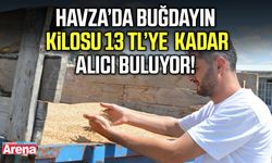 Havza’da buğdayın kilosu 13 liraya kadar alıcı buluyor