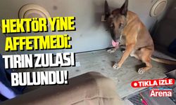 Hektör yine affetmedi: Tırın zulası bulundu!