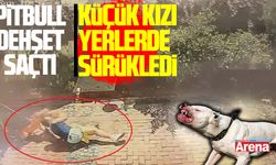 Samsun’da pitbull dehşeti: Kızı yerden yere vurdu!