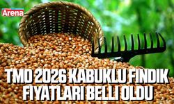 TMO 2026 kabuklu fındık fiyatları belli oldu