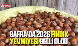 Bafra'da 2026 fındık yevmiyesi belli oldu