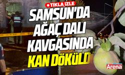 Samsun'da ağaç dalı kavgasında kan döküldü
