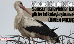Samsun’da leylekler için özel proje