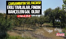 Çarşamba'da şiddetli sağanak hayatı durma noktasına getirdi
