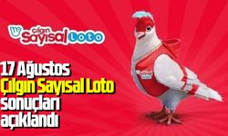17 Ağustos Çılgın Sayısal Loto sonuçları açıklandı