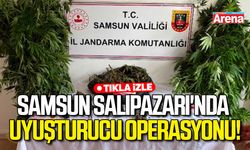 Samsun Salıpazarı'nda uyuşturucu operasyonu