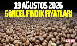 19 Ağustos 2026 güncel fındık fiyatları