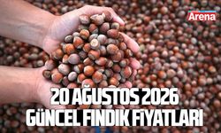 20 Ağustos 2026 güncel fındık fiyatları