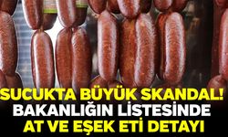 Sucukta büyük skandal! Bakanlığın listesinde at ve eşek eti detayı