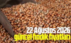 22 Ağustos 2026 güncel fındık fiyatları