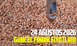 24 Ağustos 2026 güncel fındık fiyatları
