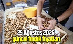 25 Ağustos 2026 güncel fındık fiyatları