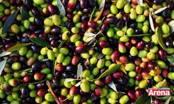 Baktat Zeytin'e mahkemeden kritik karar! 1 yıllık kesin mühlet