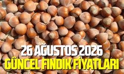 26 Ağustos 2026 güncel fındık fiyatları