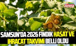Samsun'da 2026 fındık hasat ve ihracat takvimi belli oldu
