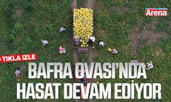 Bafra Ovasında hasat devam ediyor