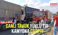 Canlı tavuk yüklü tır Havza Viyadüğü'nde kamyona çarptı