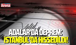 Adalar'da deprem: İstanbul'da hissedildi!
