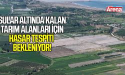 Çarşamba'da sular altında kalan tarım alanları için hasar tespiti bekleniyor