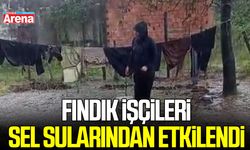 Samsun'da fındık işçileri sel sularından etkilendi