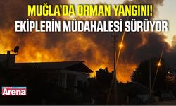 Muğla’da Orman Yangını! Ekiplerin Müdahalesi Sürüyor