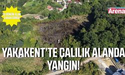 Yakakent’te çıkan yangında 10 dönümlük alan zarar gördü