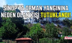 Sinop'ta ormanın yanmasına sebep olan kişi tutuklandı