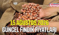 15 Ağustos 2026 güncel fındık fiyatları