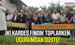 Fındık toplarken uçurumdan düşen iki kardeş hayatını kaybetti